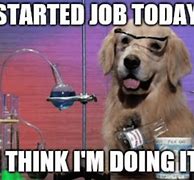 Image result for First Day of the Month Work Meme