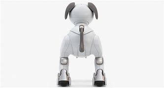 Image result for Aibo Bone