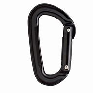 Image result for D-Shaped Carabiners