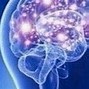 Image result for Brain Sync Meme