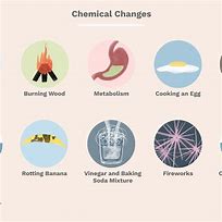 Image result for Physical and Chemical Changes of Matter