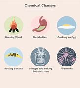 Image result for Chemical and Physical Changes Cartoon