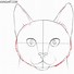 Image result for Cat Face Sketch Outline