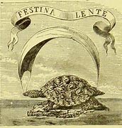 Image result for Festina Lente Vinum Regum