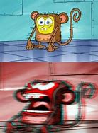 Image result for Spongebob Monkey Meme Sticker