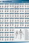 Image result for Smith Machine Workout Chart
