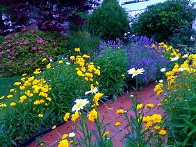 Image result for Summer Garden Plants Wisconsin