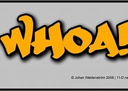 Image result for Icon Whoa