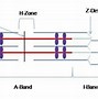 Image result for Difference Between Synapsis and Crossing Over