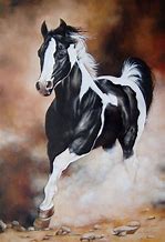 Image result for Black White Paint Horse