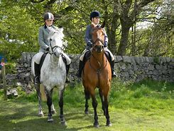 Image result for Horse Rider Outfit