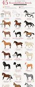 Image result for Horse Breeds of the World