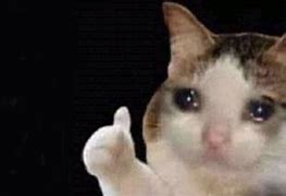 Image result for Crying Cat with Thumbs Up Meme