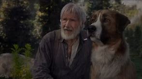 Image result for Harrison Ford Dog Movie