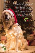 Image result for Christmas Dog Quotes