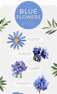 Image result for Dark Blue Flowers Names