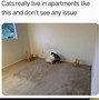 Image result for My 1st Apartment Meme