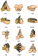 Image result for All Ninjutsu Hand Signs