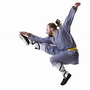 Image result for Most Unique Kung Fu Styles