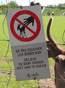 Image result for Don't Touch Animals