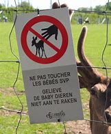 Image result for Don't Touch Animals