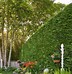 Image result for Evergreen Tree Landscaping Columbus Ohio