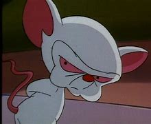 Image result for The Brain From Pinky and the Brain
