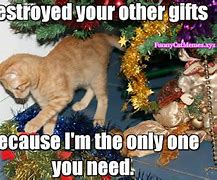 Image result for Funny Holiday Memes