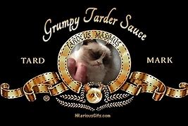 Image result for Tard the Grumpy Cat Meme