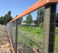 Image result for 2X4 Wire Fencing