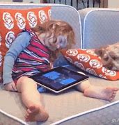 Image result for Wake Up Dogs with Blender GIF