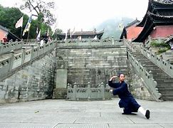 Image result for Wudang Quan