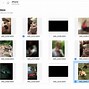 Image result for 4 Methods to Recover Deleted Photos iPhone