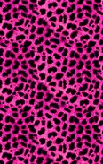 Image result for Pink Cheetah Print