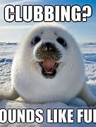 Image result for Seal Clubbing Meme