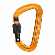 Image result for Screwgate Carabiner