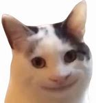 Image result for Laughing Cat Meme Emoji Discord