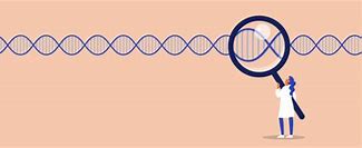 Image result for DNA Genetics