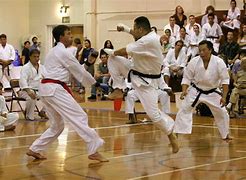 Image result for Japanese Karate Types