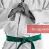 Image result for Six Sigma Green Belt