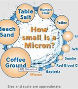 Image result for How Much Is a Micron