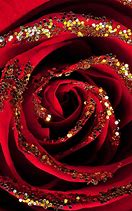 Image result for Red Black and Gold Roses