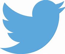 Image result for Animated Twitter Logo Transparent