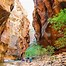 Image result for co_to_za_zion_narrows