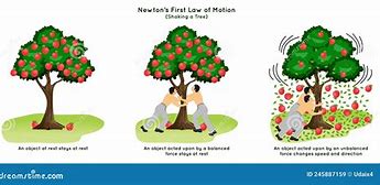 Image result for Newton Law and Apple