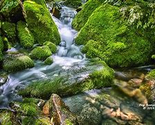 Image result for Mossy Rock Waterfall