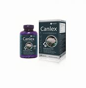 Image result for canxeal
