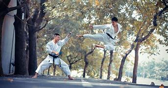 Image result for Types of Karate in the World