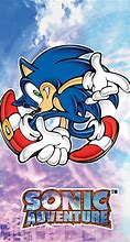 Image result for Sonic Adventure 1