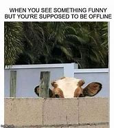 Image result for Peeking Sign Meme